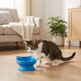 thumbnail image 3 of Vibrant Life 0.8-Cup Plastic Elevated Cat Ear Bowl, Blue, 3 of 8