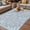 White Gray Blue, variant on Gray Blue Dandelion Outdoor Rug for Patio/Deck/Porch, Non-Slip Large Area Rug 5 x 7 Ft, Spring Flowers Modern Minimalist Indoor Outdoor Rugs Washable Area Rugs, Reversible Camping Rug Carpet Runner