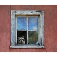 thumbnail image 2 of Vest, Chris 17x15 Gold Ornate Wood Framed with Double Matting Museum Art Print Titled - Raccoon Window, 2 of 4
