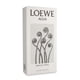 thumbnail image 3 of Loewe Agua Mar De Coral 100Ml Edt Spray Loewe Model, 3 of 3