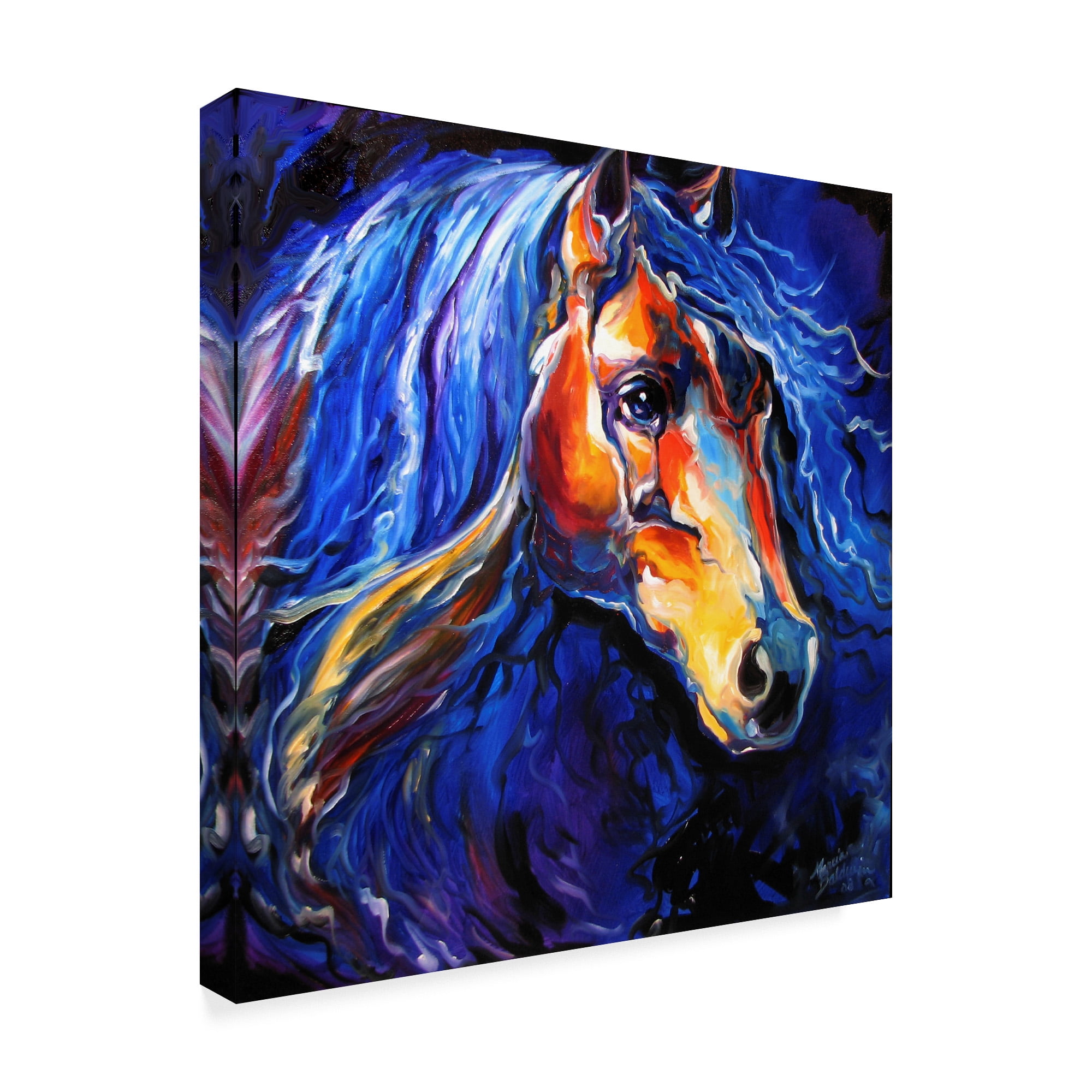 Trademark Fine Art 'Friesian Night' Canvas Art by Marcia Baldwin