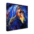 thumbnail image 2 of Trademark Fine Art 'Friesian Night' Canvas Art by Marcia Baldwin, 2 of 3