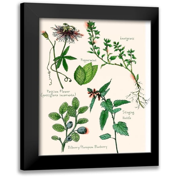 Wang, Melissa 12x14 Black Modern Framed Museum Art Print Titled - Sweet Assemblage I