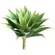 thumbnail image 1 of Ounissouiy Decoración de resina: plantas artificiales pintorescas y verdes para interiores y exteriores para la vida en el hogar. Estas Decoración, 1 of 6