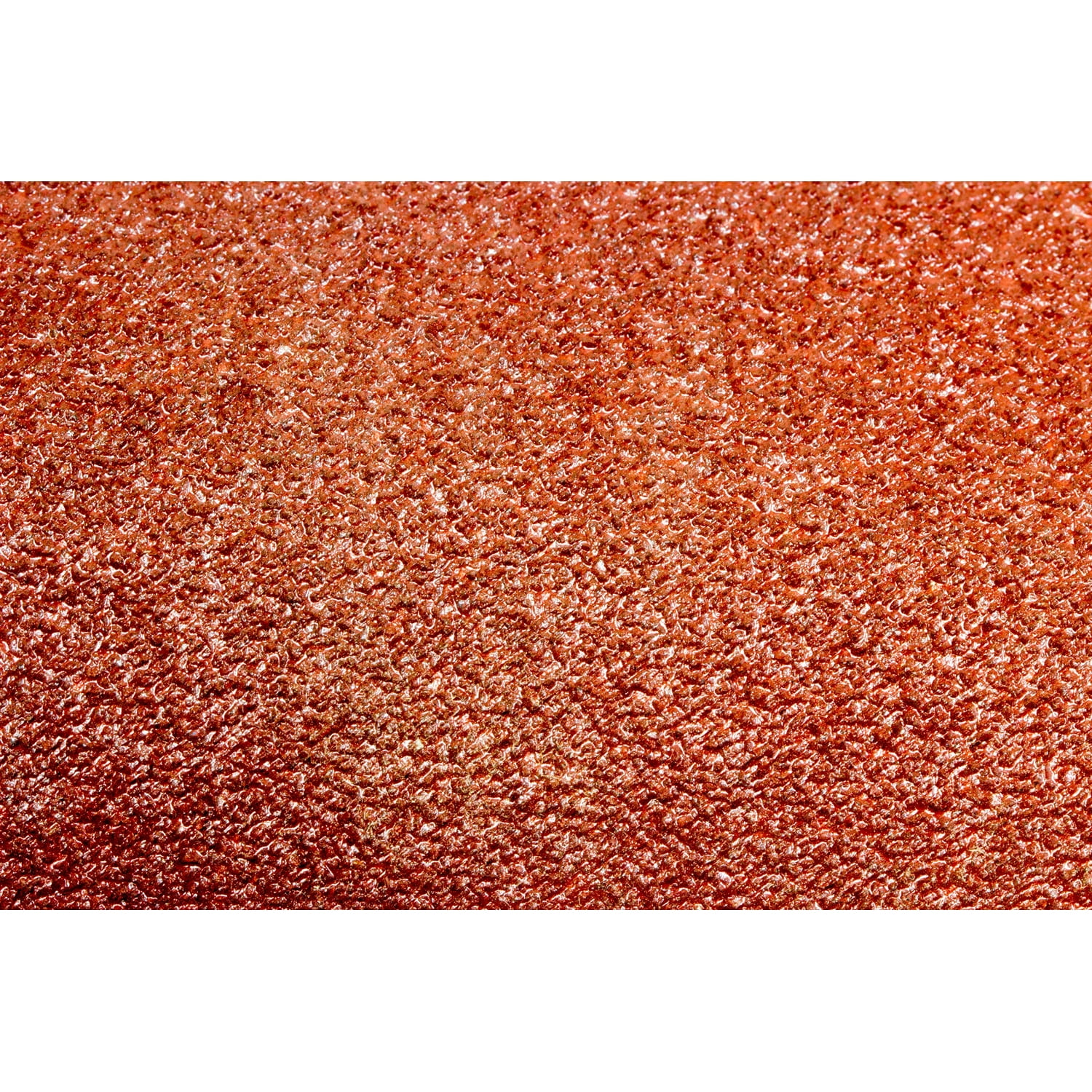 Wen 120 Grit Adhesive Backed 5 Inch Disc Sandpaper, 10 Pack