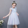 thumbnail image 1 of HAWEE Robe Elsa pour Filles Costume de Carnaval Fête d'Anniversaire Robe Tutu de Princesse Manches Bouffantes Déguisement Elsa, 1 of 7