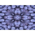 thumbnail image 1 of Ahgly Company Machine Washable Indoor Rectangle Transitional Purple Mimosa Purple Area Rugs, 8' x 12', 1 of 7