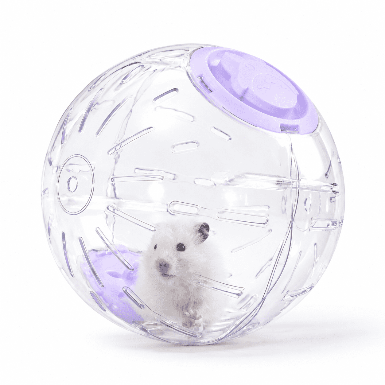 Purple 7.9 Inch Small Pet Exercise Ball for Syrian Hamsters, Gerbils and Mice