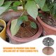 thumbnail image 2 of 2 uds cubierta de suelo para plantas de interior cubiertas para macetas Protector de plantas de gatos cubierta de suelo para macetas cubiertas para plantas cubiertas para macetas, 2 of 3