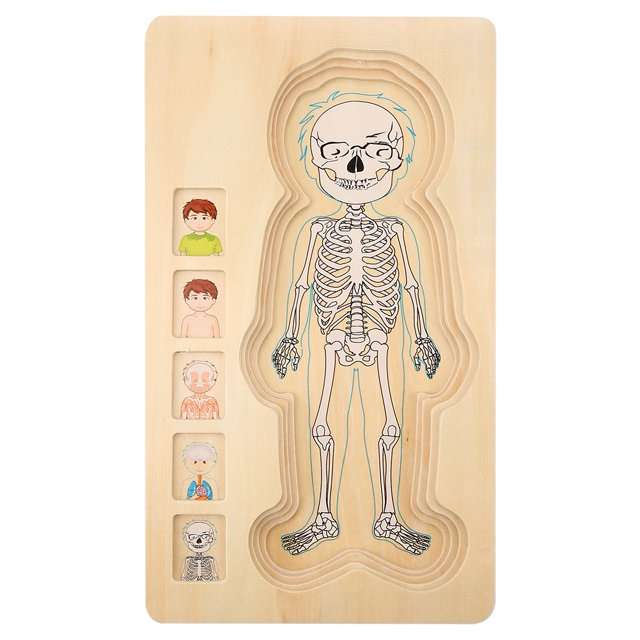 Juguete de ladrillo inteligente, juguete de ladrillo multicapa con estructura de cuerpo humano de madera, juguete de ladrillo con estructura de cuerpo humano muy versátil