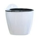 thumbnail image 1 of Monstrate Maceta con colección de agua, contenedor para plantar, maceta colgante para plantas, maceta desmontable para jardín interior y Jardín y Patio 180, 1 of 6