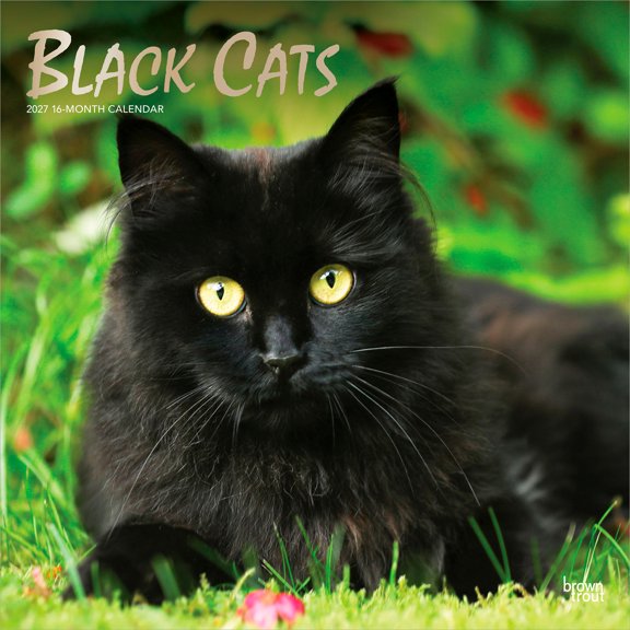 Black Cats 2027 12x24" (Hanging) Wall Calendar | Foil Stamped Cover | Plastic-Free