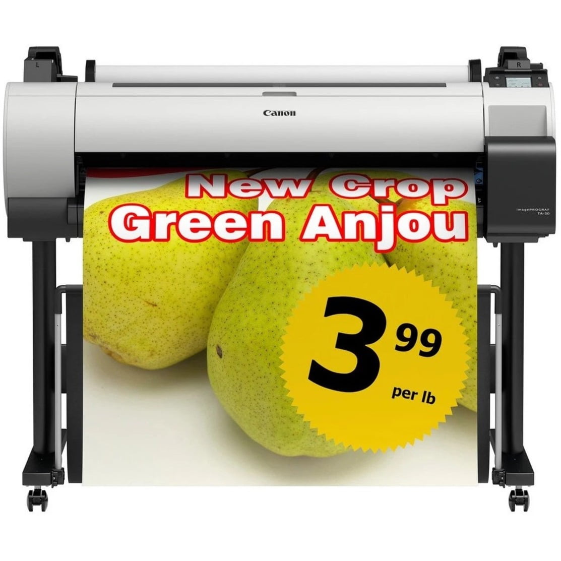 Canon imagePROGRAF TA-30 Inkjet Large Format Printer, 36" Print Width, Color