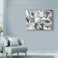 thumbnail image 3 of Trademark Fine Art 'Dreamy Peony Collage' Canvas Art by Wild Apple Portfolio, 3 of 3