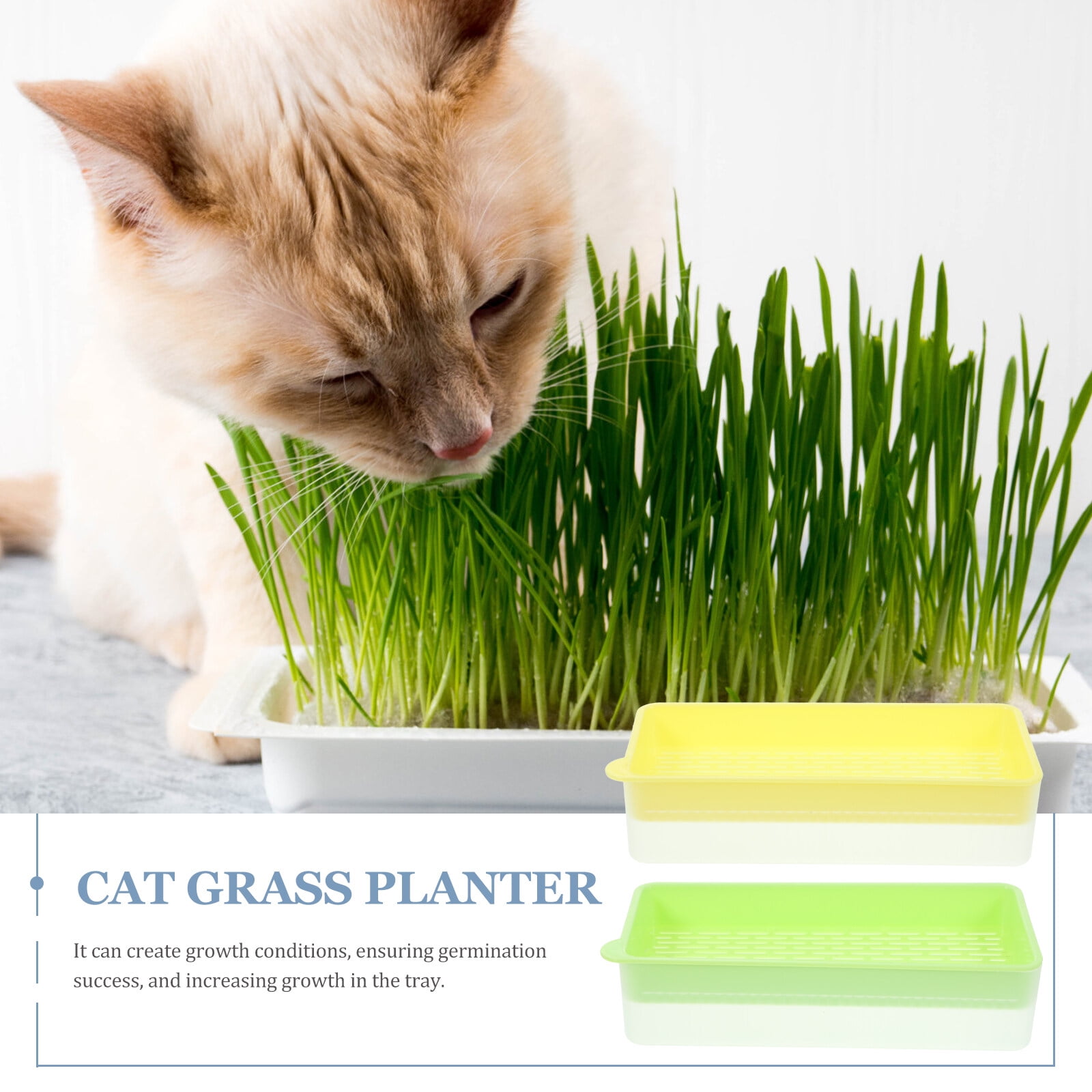 2Pcs Cat Grass Planter Catnip Cat Grass Box Cat Plant Planting Box Soil