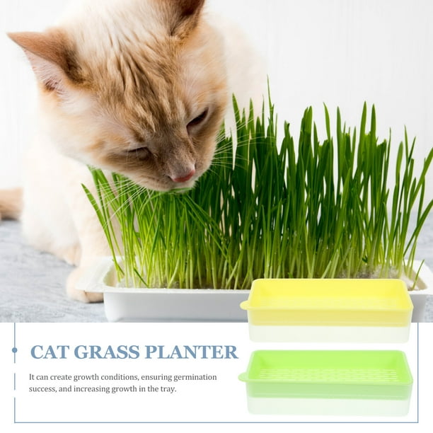 2Pcs Cat Grass Planter Catnip Cat Grass Box Cat Plant Planting Box Soil