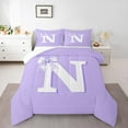 thumbnail image 2 of Erosebridal Initial Letter N Bedding Sets Twin with Comforter,Kawaii Bowtie Duvet Insert,Purple Bow Comforter Sets Twin Size For Birls,Bedroom Decoration,2pcs, 2 of 7