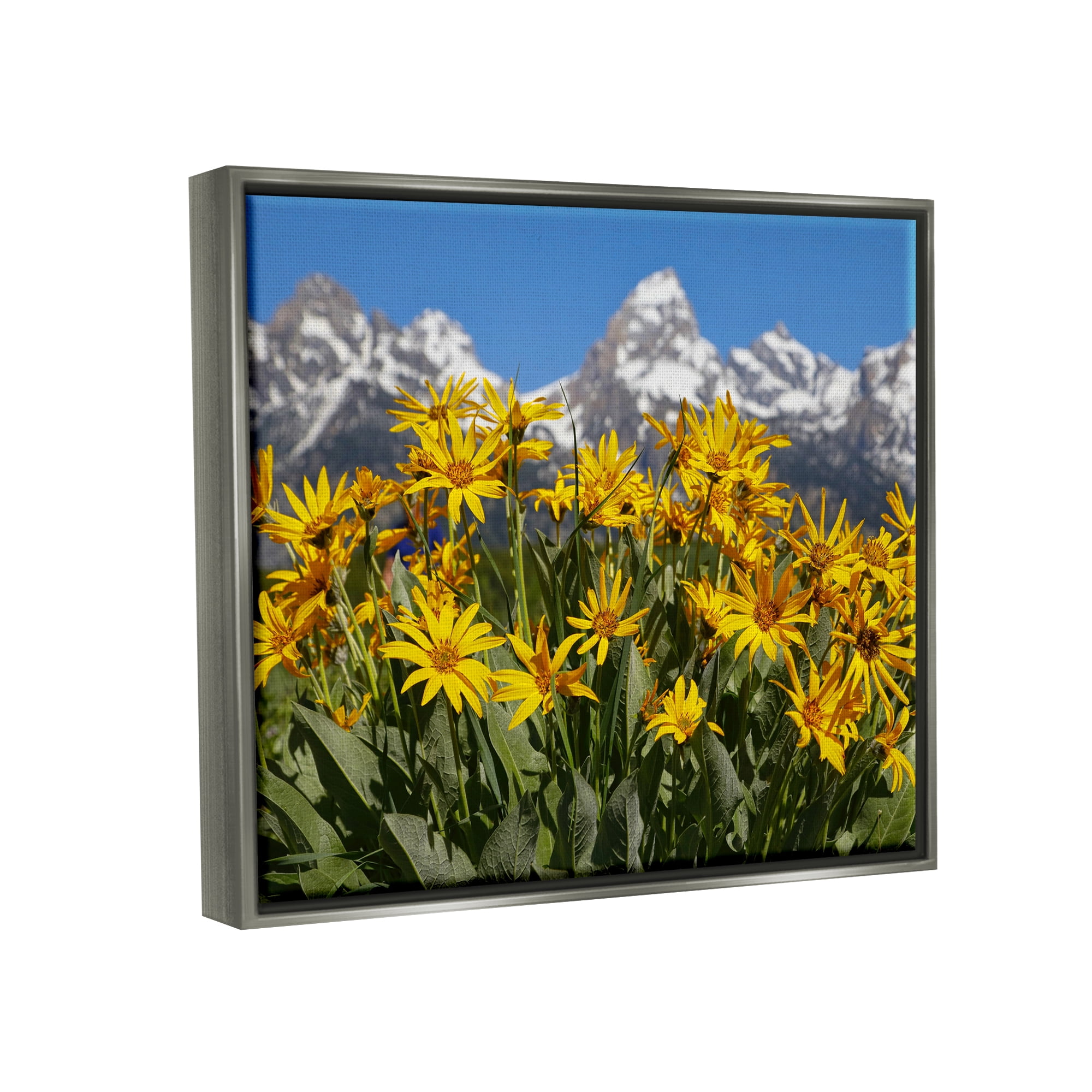 Stupell Industries Daisy Meadow & Mountains Landscape Photography Gray Floater Framed Canvas Art Print Wall Art, 31 x 25