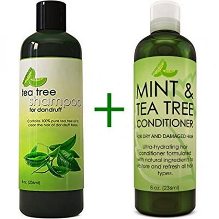 Dandruff Shampoo and Conditioner with Tea Tree Oil - Argan Oil Hair Growth Therapy - Lice Treatment for Kids - Hair Loss Products for Men Hair Loss Prevention for Women - With Lavender, Aloe & (Best Natural Hair Treatment For Dandruff)