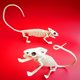 thumbnail image 3 of Animales De Halloween, Huesos, Simulación De Terror, Esqueleto, Decoración De Fiesta De Halloween Speravity HA044865-06, 3 of 4