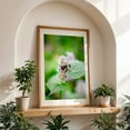 thumbnail image 5 of Bee on Flower 02 - Manhattan New York Photography Insect Nature Wildlife Botanical Floral Garden Animal Unframed Wall Art Print 40 x 60 inches, 5 of 60