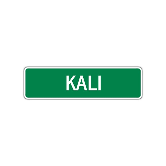 Kali Girls Name Letter Printed Label Wall Art Decor Novelty Aluminum Metal Sign 4"x13.5"