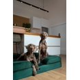 thumbnail image 3 of Cama para Perro NOAH & PAW XXL 140x115x28 cm Ortopédica y Refrescante, 3 of 9