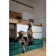 thumbnail image 3 of Cama para Perro NOAH & PAW XXL 140x115x28 cm Ortopédica y Refrescante, 3 of 9