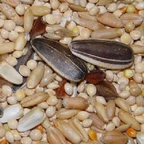 Higgins Supreme Cockatiel Bird Food, 50 Lb