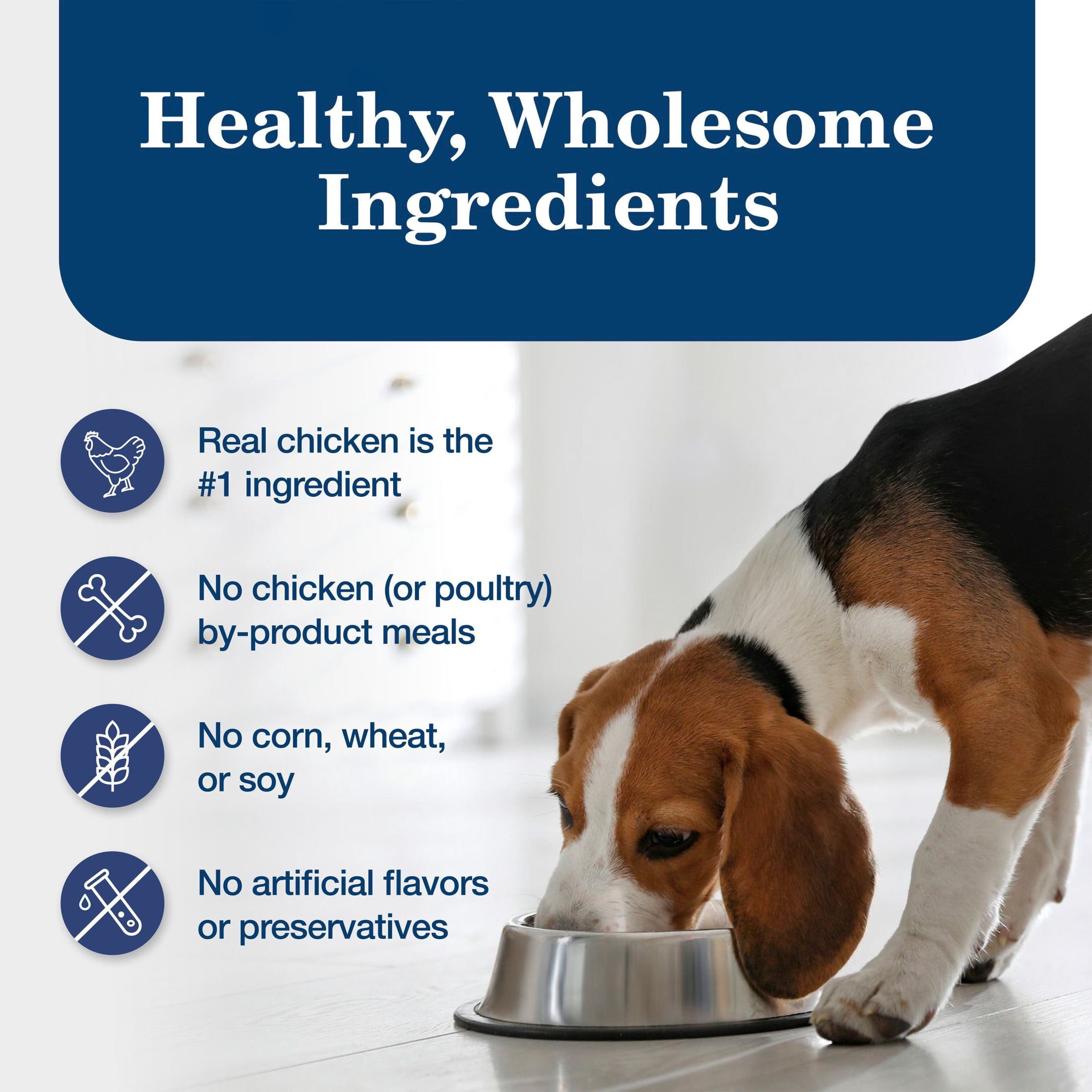 (24 pack) Blue Buffalo Homestyle Recipe Natural Adult Wet Dog Food, Chicken, 12.5oz. Can