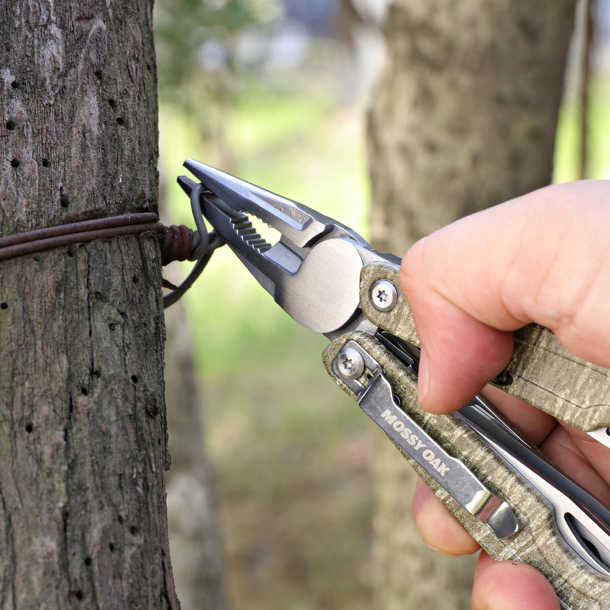 0f2219fb-d99d-4083-b695-