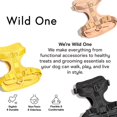 thumbnail image 5 of Wild One Dog Harness, The Original No-Pull, Pet Harness with 3 Leash Clips, Adjustable Soft Padded Vest, Comfortable, Stretchy, Size XS, Black, 5 of 7