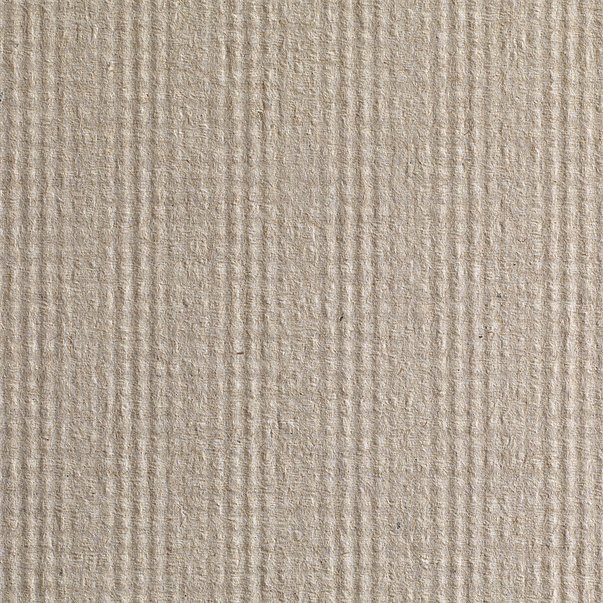 Pacific Blue Basic Paper Towel Hardwound Roll 12 Pack(s), 1 Towels/ Pack