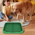 thumbnail image 5 of Dog Potty Tray Indoor Mesh Puppy Training Toilet Pee Pad Holder Removable Stable Structure Pet Litter for Small Medium Dogs, 5 of 5