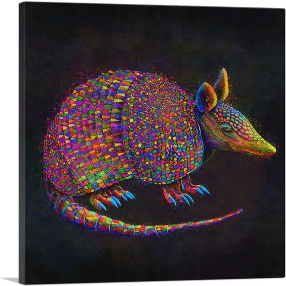 ARTCANVAS Armadillo Canvas Art Print - Size: 18" x 18" (0.75" Deep)