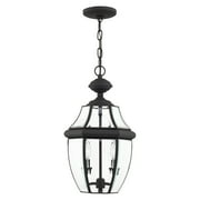 Livex Lighting Monterey 2 Light Outdoor Chain Hang in Black
