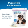thumbnail image 3 of Sustituto de leche para cachorros PetAg Esbilac en polvo de 2,27 kg con prebióticos, 3 of 6