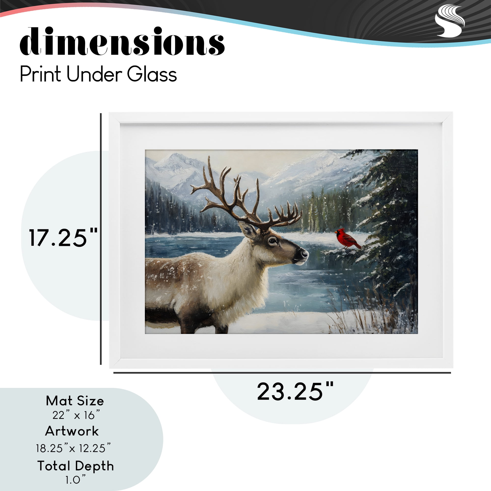 Christmas Conversation In Wild White Framed Print Under Glass, design by Petal Prints Design