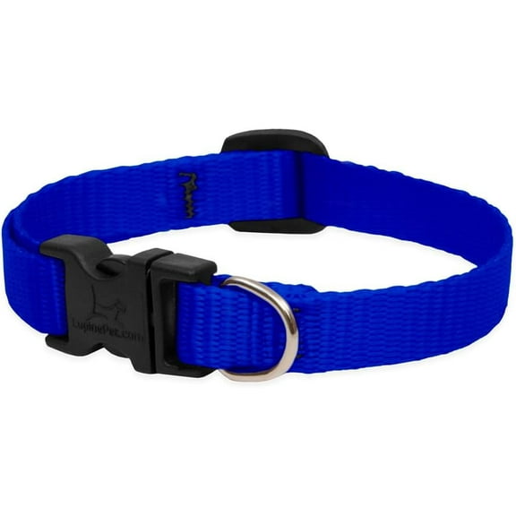 LupinePet Basics 1/2" Blue 10-16" Adjustable Collar for Small Dogs
