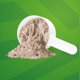 thumbnail image 2 of Prote&#2013265933na germinada, sabor chocolate, 1 kg | Vegana, vegetal, org&#2013265921nica, sin gluten, 2 of 6