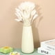 thumbnail image 4 of Uxcell 15.7in Flores Secas de Cola de Conejo, 70pcs Decoración de Hierba de Pampas, Cola de Conejo Natural, Hierba de Pampas Falsa Esponjosa Pequeña, Blanca, 4 of 6