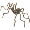 50" Hairy Posable Spider Asst. (1 count)
