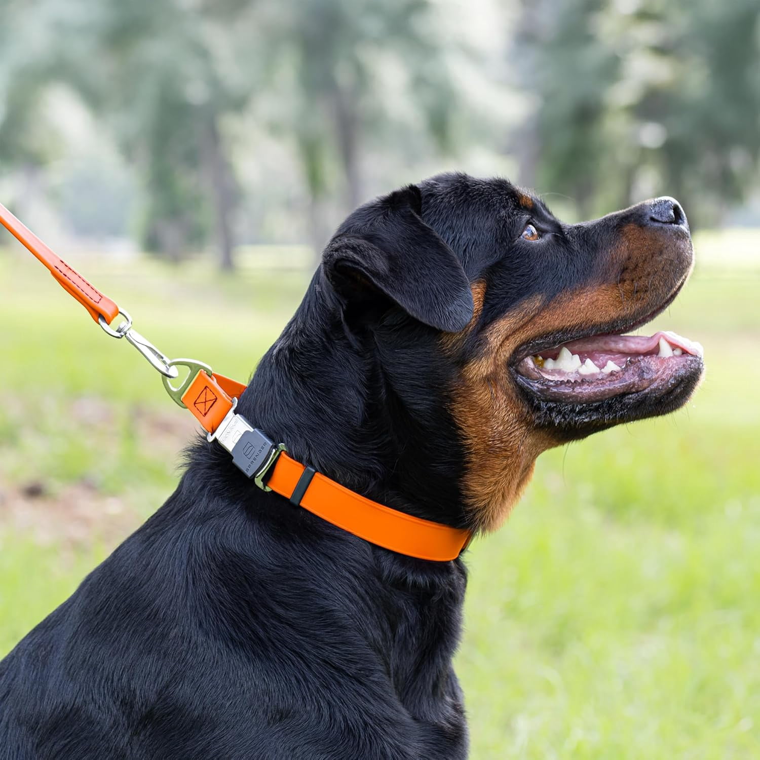 Waterproof Dog Collar with  Stainless Steel Quick Release Buckle – Heavy Duty Tactical Durable Collar for Dogs – Comfortable and Safe Pet Collar W1 L 15-25"