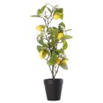 thumbnail image 3 of (1 maceta/venta) Planta en maceta de simulación de limón (tamaño de la caja: 65*15*15 cm), 3 of 14