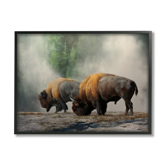 Stupell Industries Bison Duo Grazing Foggy Nature Animals & Insects Painting Black Framed Art Print Wall Art