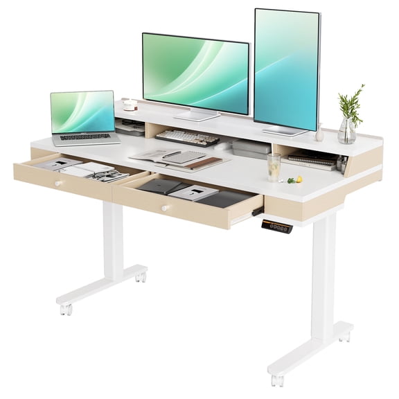 55"Electric Standing Desk with Storage System – Height Adjustable Desk with Monitor Stand, Drawers & Ultra Quiet Motor