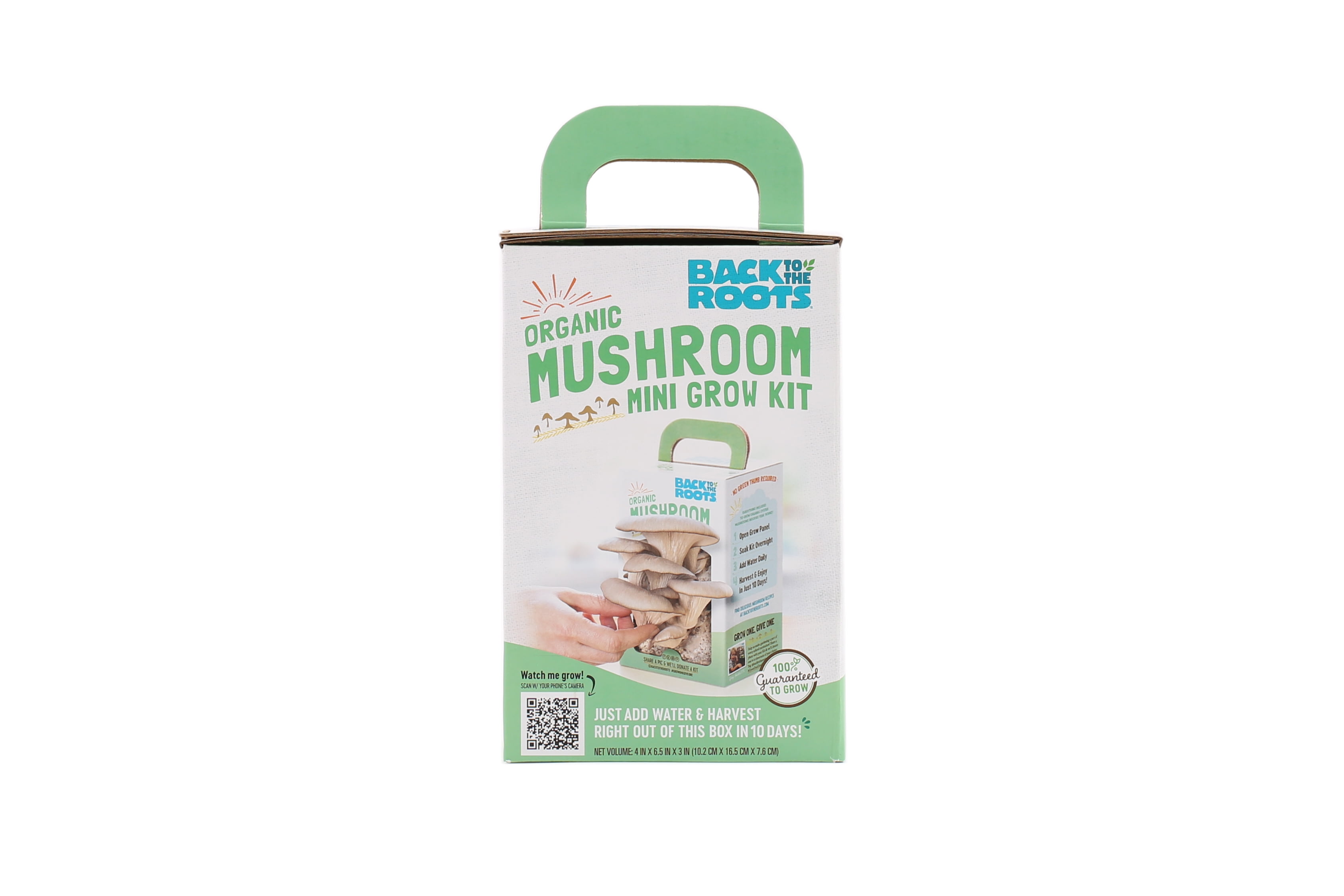back to roots mushroom kit mold