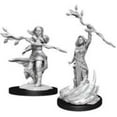 thumbnail image 5 of Figura miniatura WizKids D&D Nolzurs Marvelous Wave 3 Paladin, 5 of 5