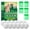 F, variant on 12-Pack Eco-Friendly&Non-Toxic Cat Repellent Outdoor, Cat Deterrent Balls, Natural Cat Repellent Indoor, Keep Cats Scratch Away from Furniture, Keep Cats Off Yard Garden Lawn Plants