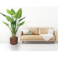 thumbnail image 2 of Vintage Home Artificial Faux Real Touch 59" Tall Philodendron Erubescens Green Emerald And Fiberstone Planter, 2 of 3